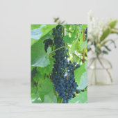 青い葡萄 招待状 (スタンド正面)