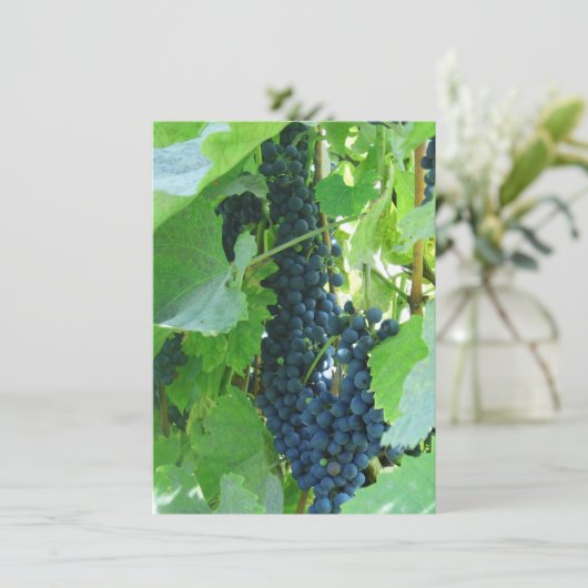 青い葡萄 招待状 (スタンド正面)