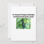 青い葡萄 招待状 (裏面)