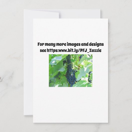 青い葡萄 招待状 (裏面)