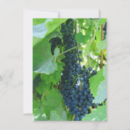 青い葡萄 招待状