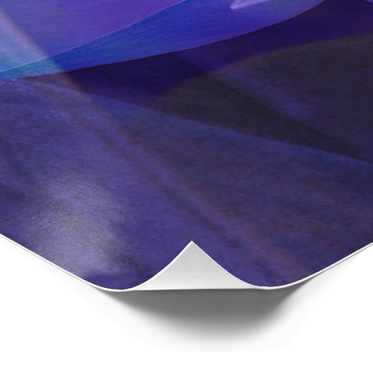 青い蓮… ポスター (コーナー)