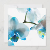 青い蘭の誕生日パーティー / あなたの特別な日の招待状 招待状 (裏面)