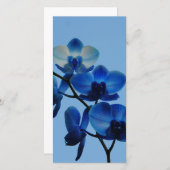 青い蘭 (正面/裏面)