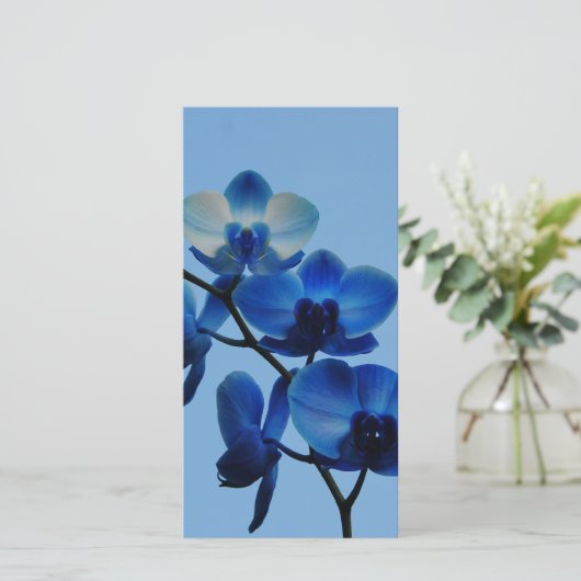 青い蘭 (スタンド正面)