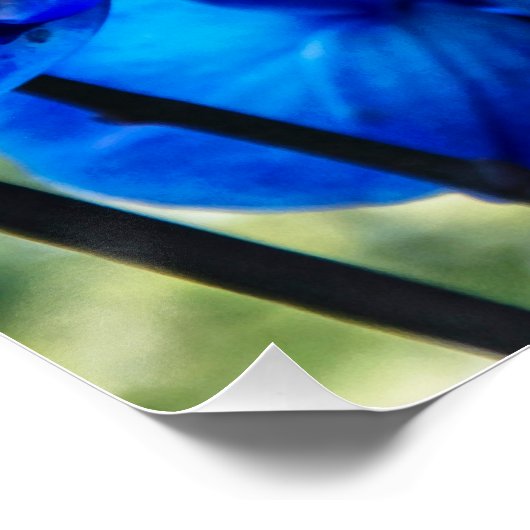 青い蘭 ポスター (コーナー)