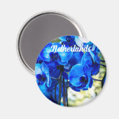 青い蘭 マグネット (正面/裏面)