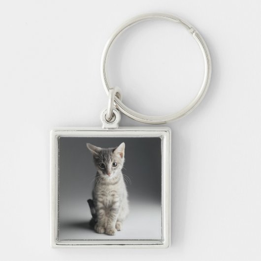 青い虎猫の子ネコ キーホルダー (正面)