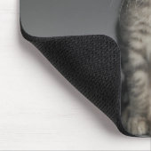 青い虎猫の子ネコ マウスパッド (コーナー)