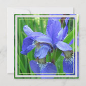 青い虹彩の花すべてパーティの招待状 招待状 (裏面)
