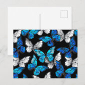 青い蝶モルフォとダークシームレスパターン インビテーションポストカード (正面/裏面)