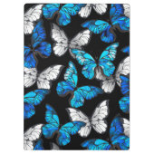 青い蝶モルフォとダークシームレスパターン クリップボード (裏面)