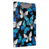 青い蝶モルフォとダークシームレスパターン クリップボード (右)