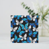 青い蝶モルフォとダークシームレスパターン シーズンカード (スタンド正面)