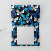 青い蝶モルフォとダークシームレスパターン シーズンカード (内部)