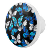 青い蝶モルフォとダークシームレスパターン セラミックノブ (右)