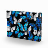 青い蝶モルフォとダークシームレスパターン フォトブロック (右)