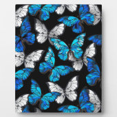 青い蝶モルフォとダークシームレスパターン フォトプラーク (正面)
