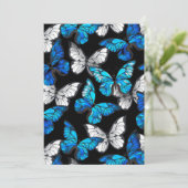 青い蝶モルフォとダークシームレスパターン プログラム (スタンド正面)