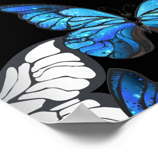 青い蝶モルフォとダークシームレスパターン ポスター (角)