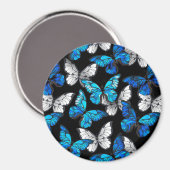 青い蝶モルフォとダークシームレスパターン マグネット (正面/裏面)