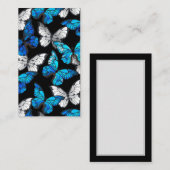 青い蝶モルフォとダークシームレスパターン 紹介カード (正面/裏面)