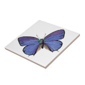 青い蝶 タイル (側面)