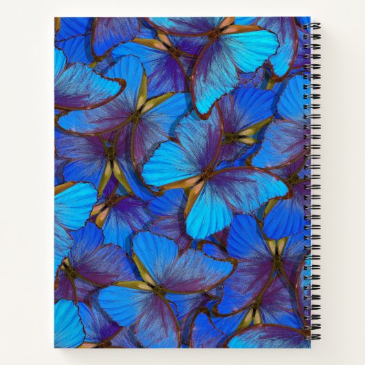 青い蝶 ノートブック (裏面)