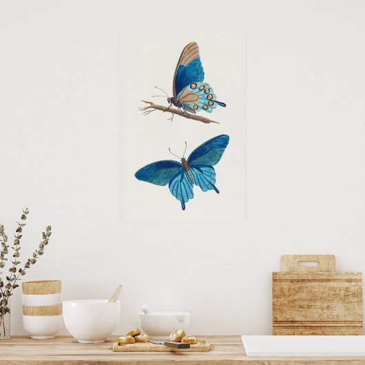 青い蝶 ポスター (キッチン)