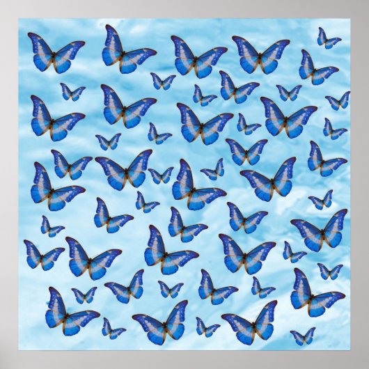 青い蝶 ポスター (正面)