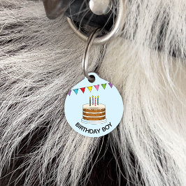 青い誕生日カラフルボーイにバナーを付けたケーキ ペット　ネームタグ