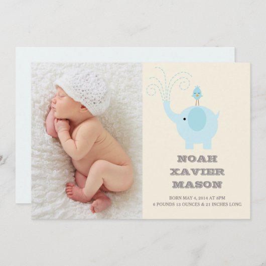 青い象 | 誕生発表 案内状 (正面/裏面)