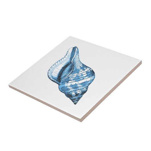 青い貝の航海のな沿岸海のビーチのギフト タイル (側面)