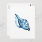 青い貝色の沿岸航海の海ギフト ポストカード (正面/裏面)