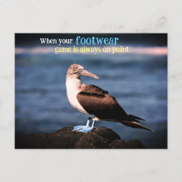 青い足のガネット シーズンポストカード