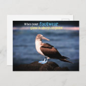 青い足のガネット シーズンポストカード (正面/裏面)