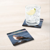 青い足のガネット スクエアペーパーコースター (インサイチュ)