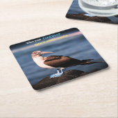 青い足のガネット スクエアペーパーコースター (アングル)