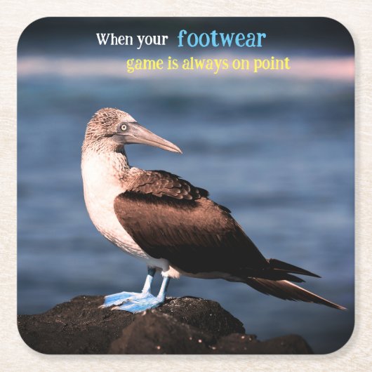 青い足のガネット スクエアペーパーコースター (正面)