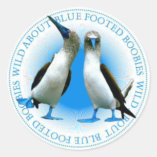 青い足のブーン ラウンドシール
