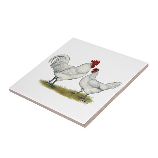 青い足の鶏 タイル (側面)