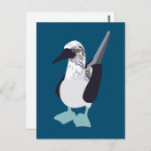 青い足を持つ海鳥 ポストカード (正面/裏面)