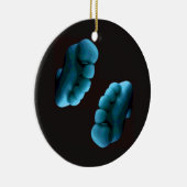 青い足 セラミックオーナメント (右)