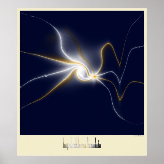 青い輪のタコ ポスター (正面)