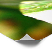 青い透明な蝶，コスタリカ ポスター (角)