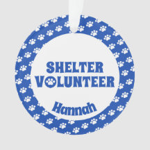 青い避難所のボランティア