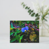 青い野の花と緑の葉のクローズアップ ポストカード (スタンド正面)