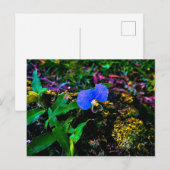 青い野の花と緑の葉のクローズアップ ポストカード (正面/裏面)