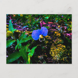 青い野の花と緑の葉のクローズアップ ポストカード
