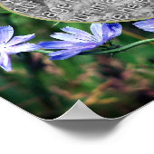 青い野生のチコリーの花のフレームあなた自身の写真を追加 ポスター (角)